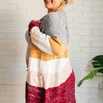 Bring the Warmth Color Block Cardigan