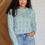 Hole In One Sheer Pointelle Knit Sweater