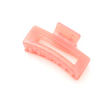 Jelly Rectangle Claw Clip in Watermelon